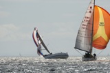 the black prince gbr2187l saracen gbr626t ss19 fri gjmc1947w